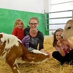 Hof Unterhuben * Fuegenberg