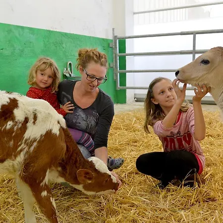 农家乐 Hof Unterhuben 菲根贝格