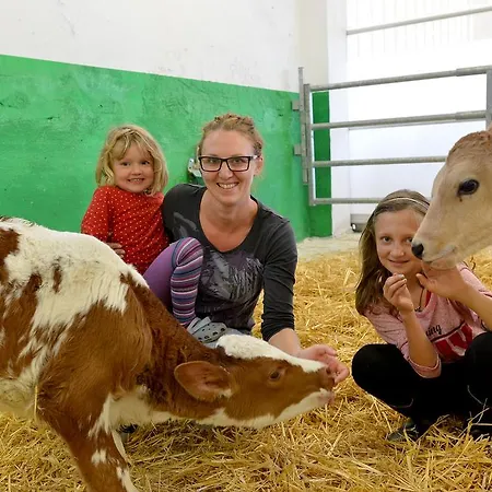 Hof Unterhuben * 菲根贝格