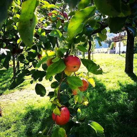Hof Unterhuben 农家乐 *