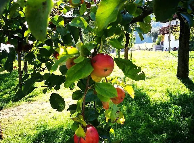 Hof Unterhuben Farmház *